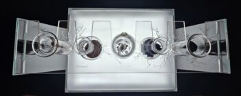 Glass test tube rack with various shaped test tubes contain fragments of glass fungi with glass mycelium
