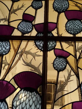 Thistles - 2025